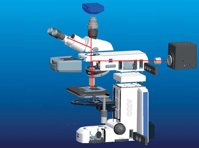 axioscopea1荧光光路图